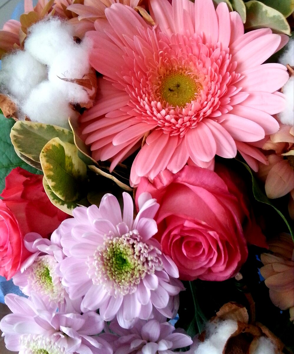 Герберы, розы, хризантемы - букет от мужа. 