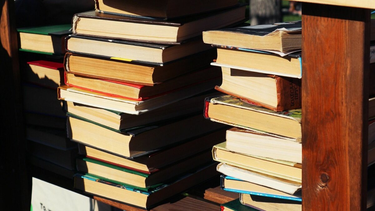     Волонтеры проверили книжные магазины Нижнего Новгорода на наличие ЛГБТ-литературы. Поисками занимались представители Волонтерской роты боевого братства.