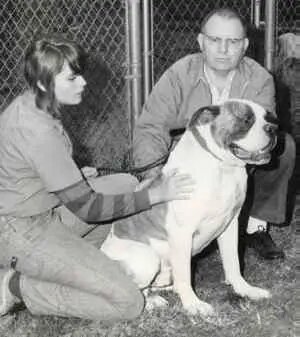 Johnson's Incredible Hulk