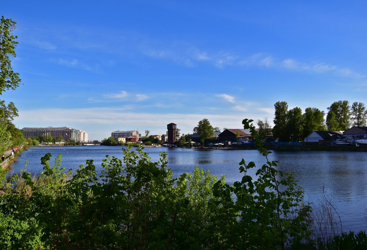 Так в наше время выглядит Галерная гавань, фото сделано с её северо-восточной оконечности