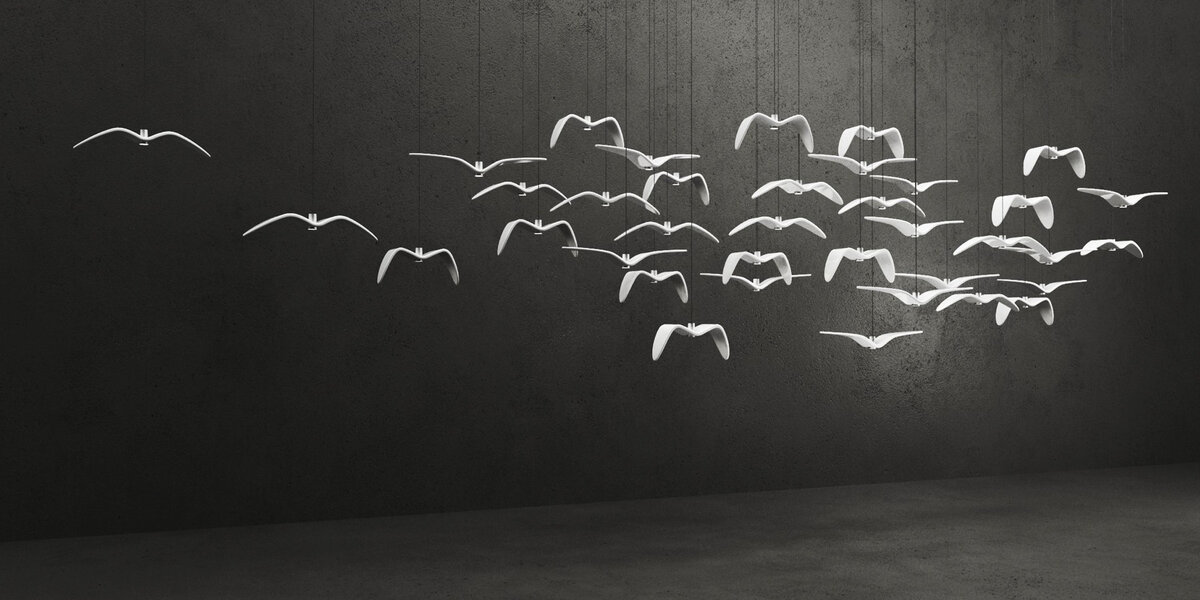 Коллекция Night Birds