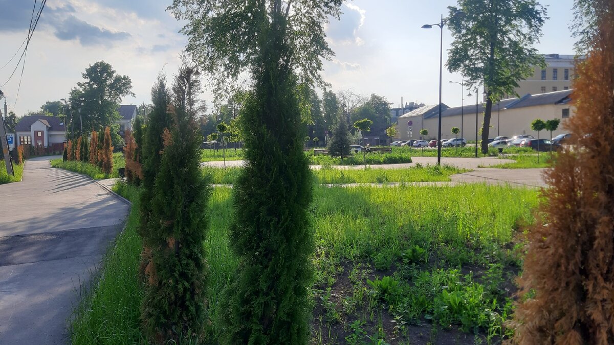 Печальный пейзаж на Новослободской