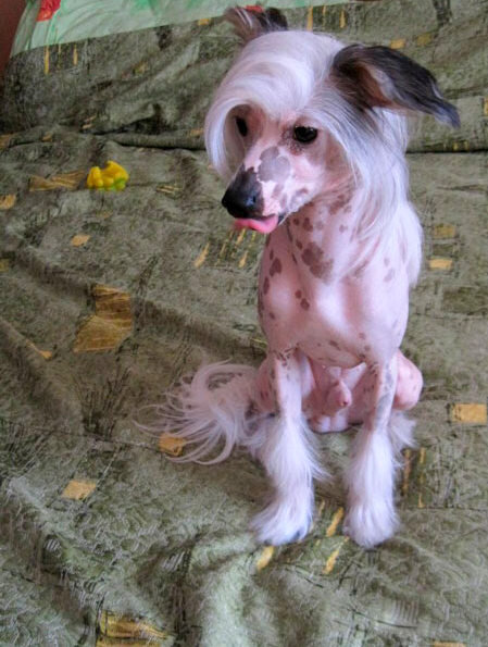 Изображения с сайта Яндекс картинки