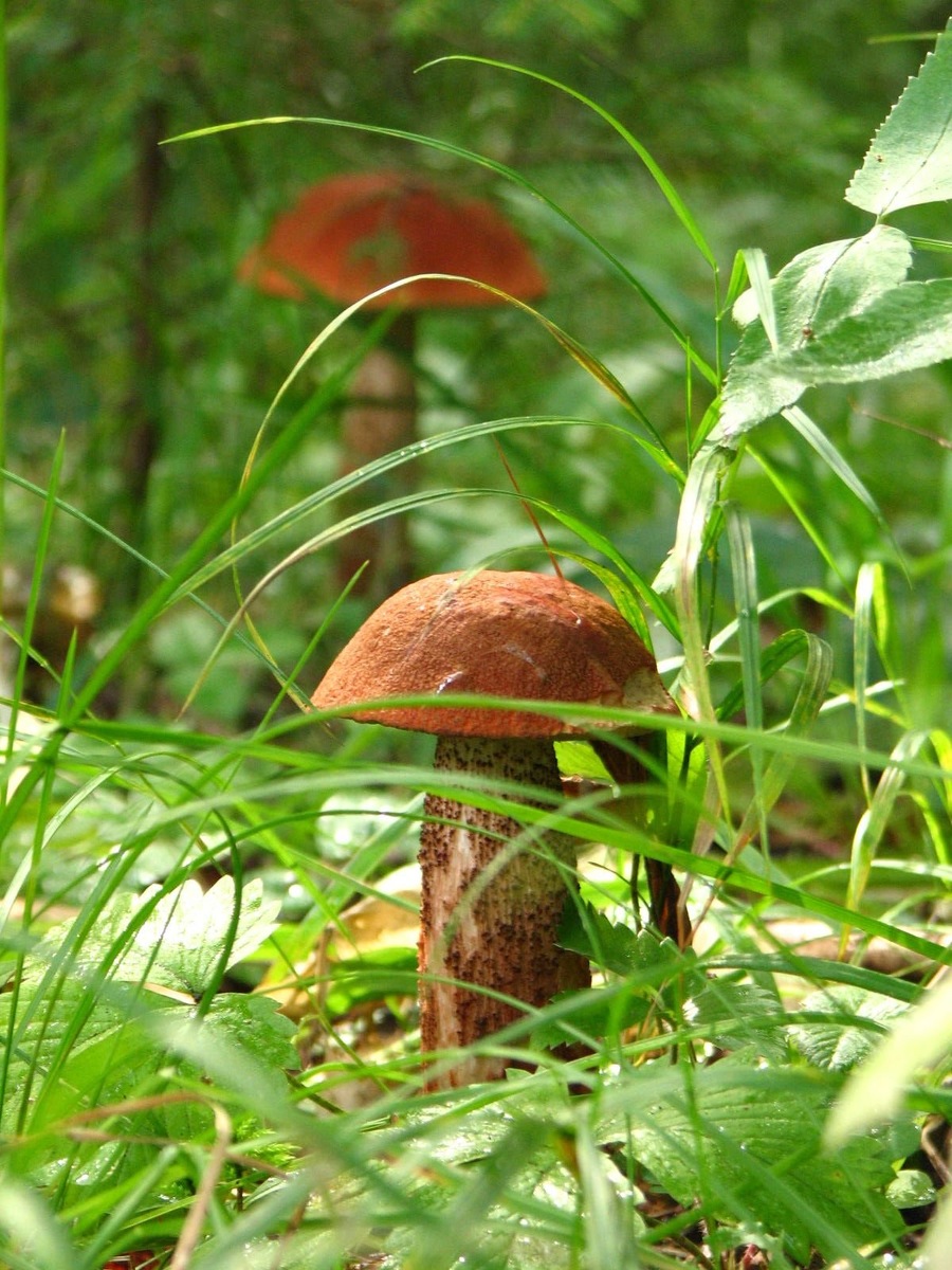 Фото автора. Красота какая.