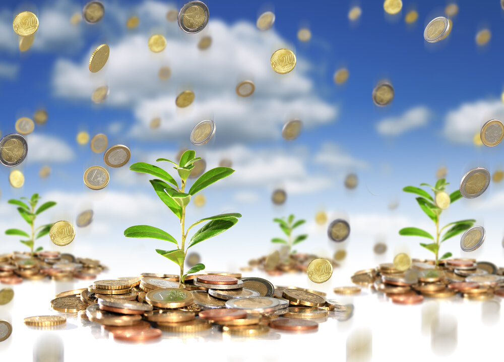 фото из Яндекс.Деньги