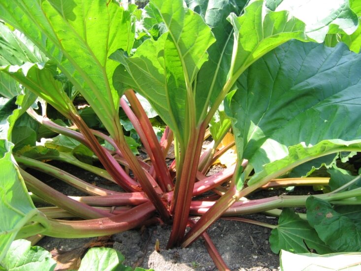 Источник - Яндекс.Картинки