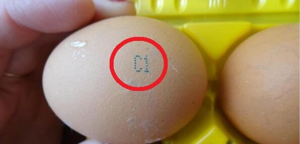 Маркировка на яйце.