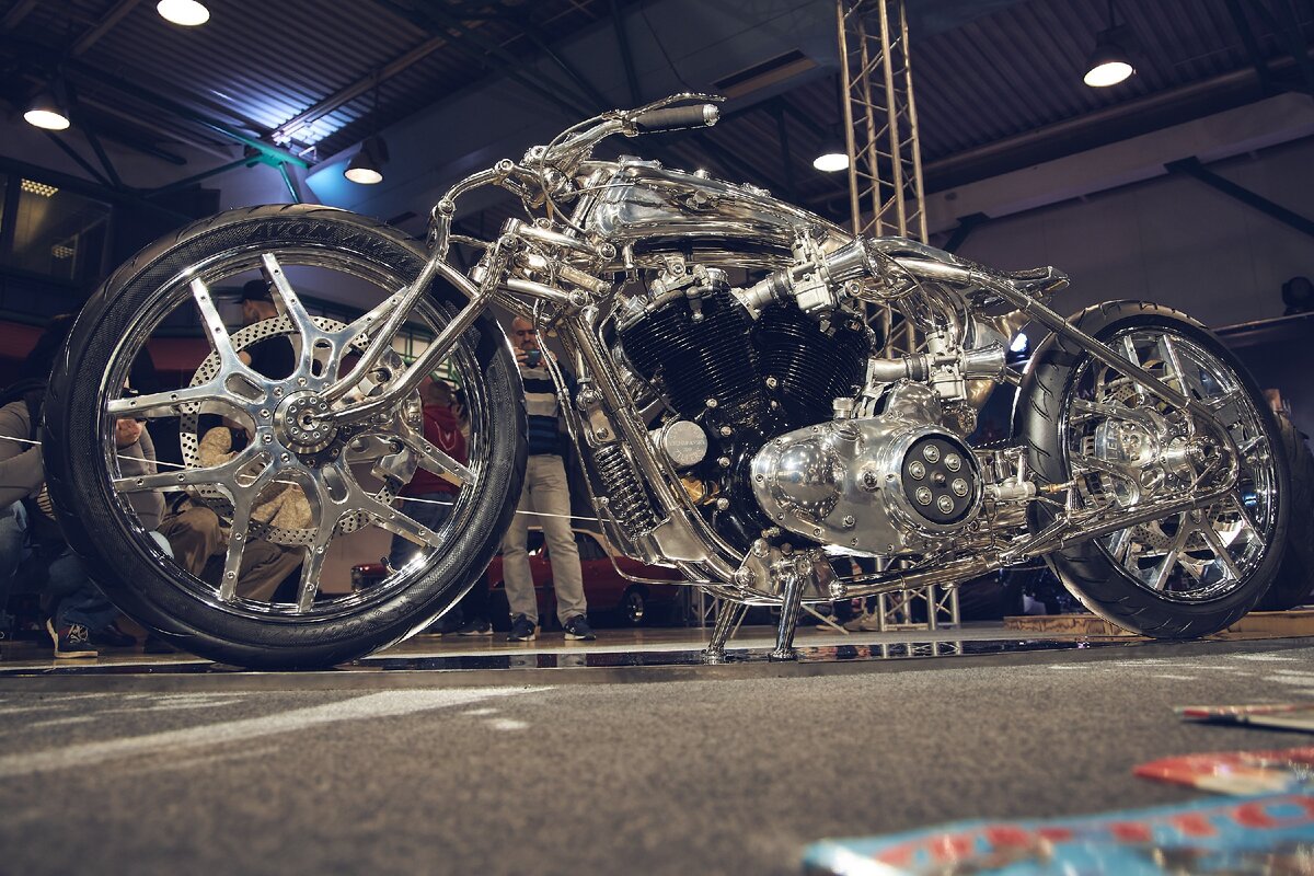 Vincent - чемпион России-2019