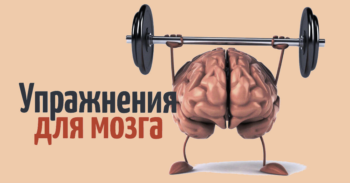 Тренировка ума. Упражнения для мозга. Полезные упражнения для мозга. Упражнения для мозгов. Интересные упражнения для мозга