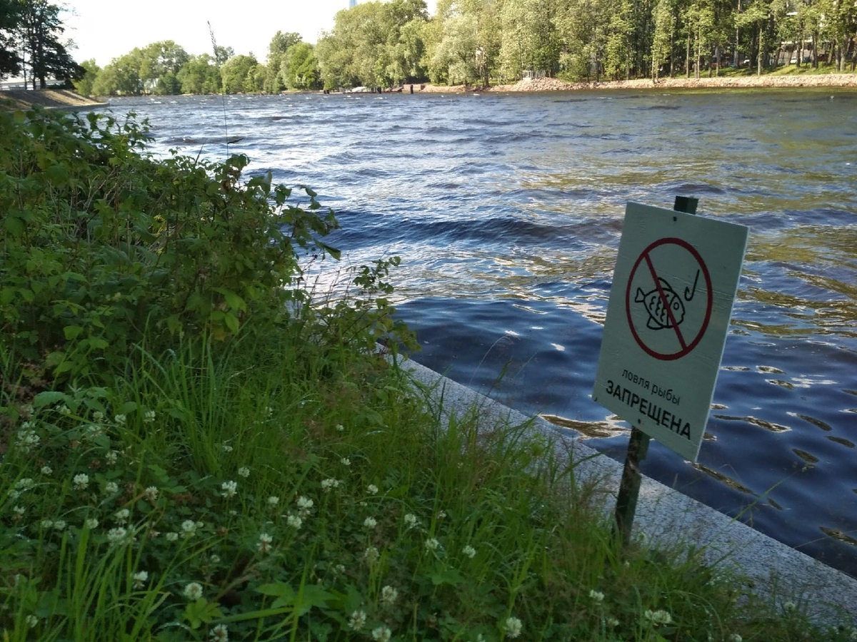 В каких областях запрещена рыбалка. Проток водоем. Рыбалка запрещена. Рыбацкое место. Рыбацкое место знак.