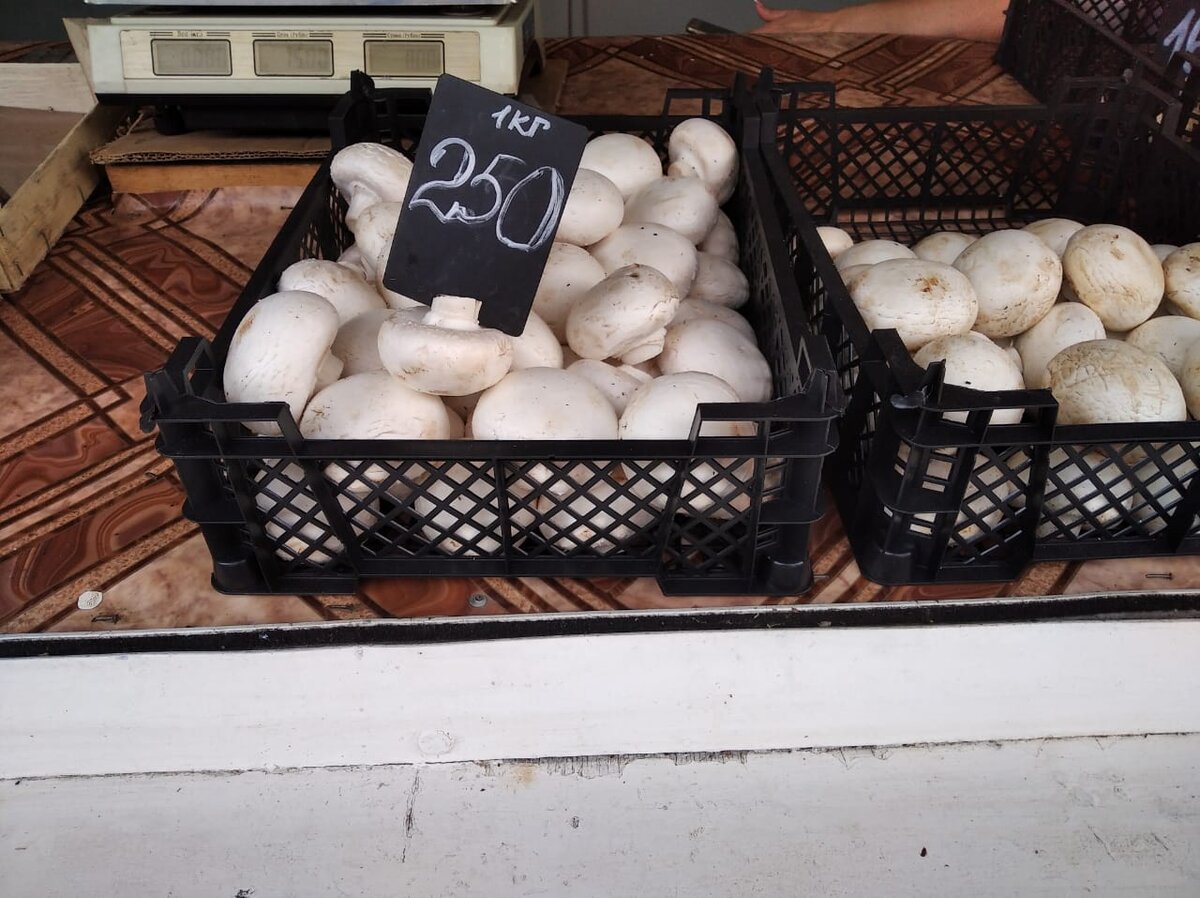 Шампиньоны цена в Краснодаре