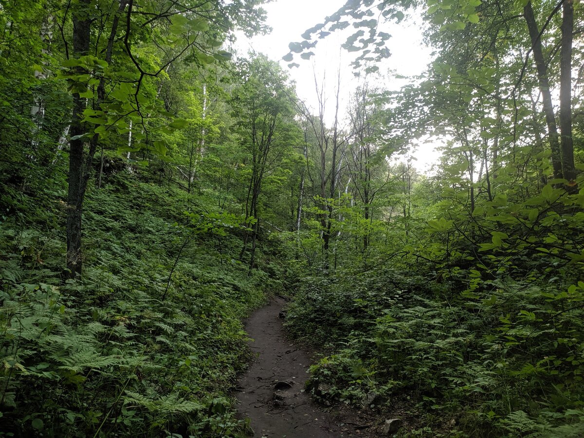 От кассы до пещеры нужно пройти 800м в подьем (нажмите на стрелку вправо чтобы увидеть больше фотографии)