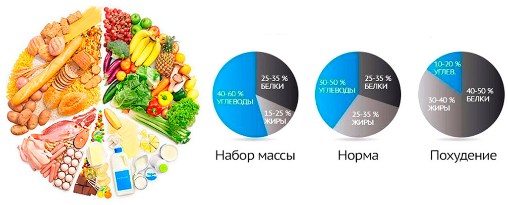 Оптимальное соотношение углеводов белков липидов. БЖУ для набора жировой массы. Рацион питания белки жиры углеводы. Соотношение белка углеводов и жиров для похудения. Белки жиры углеводы соотношение суточного рациона