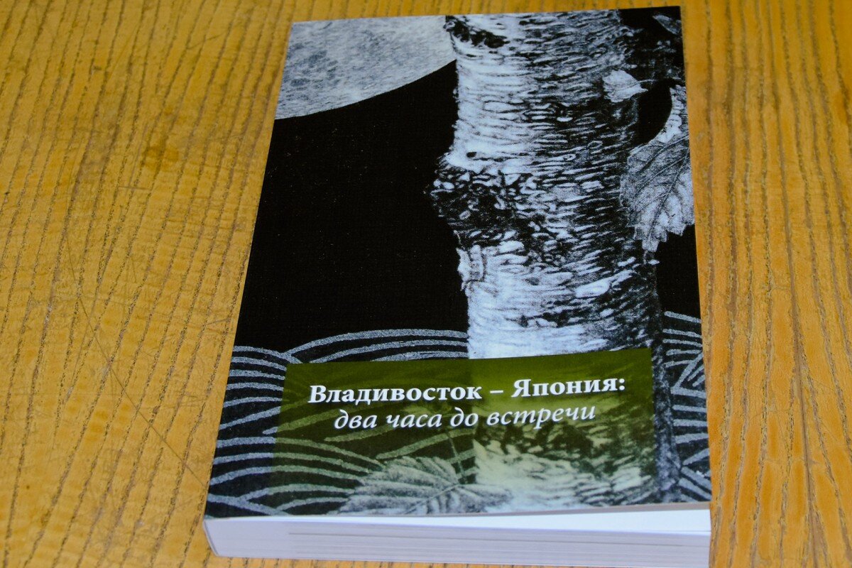 Эта поездка в Японию меня впечатлила! | АВТО ИЗ ЯПОНИИ, КОРЕИ, КИТАЯ.  МОТОЦИКЛЫ | ЯПОНИЯ-ТРЕЙД | Дзен