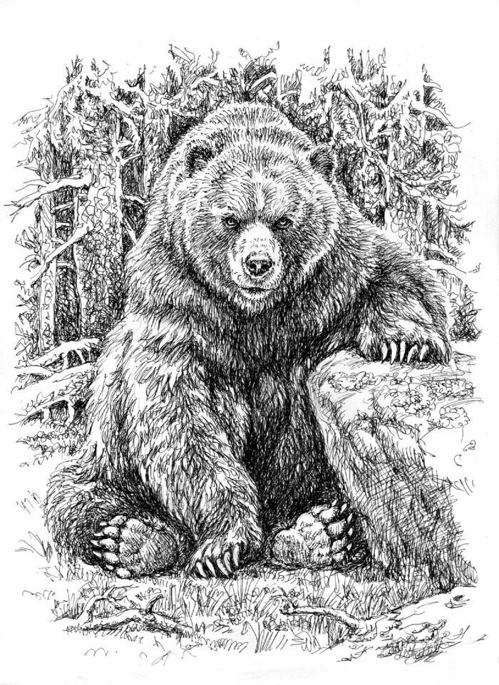 источник фото: https://www.pinterest.cl/pin/806777720723011631/