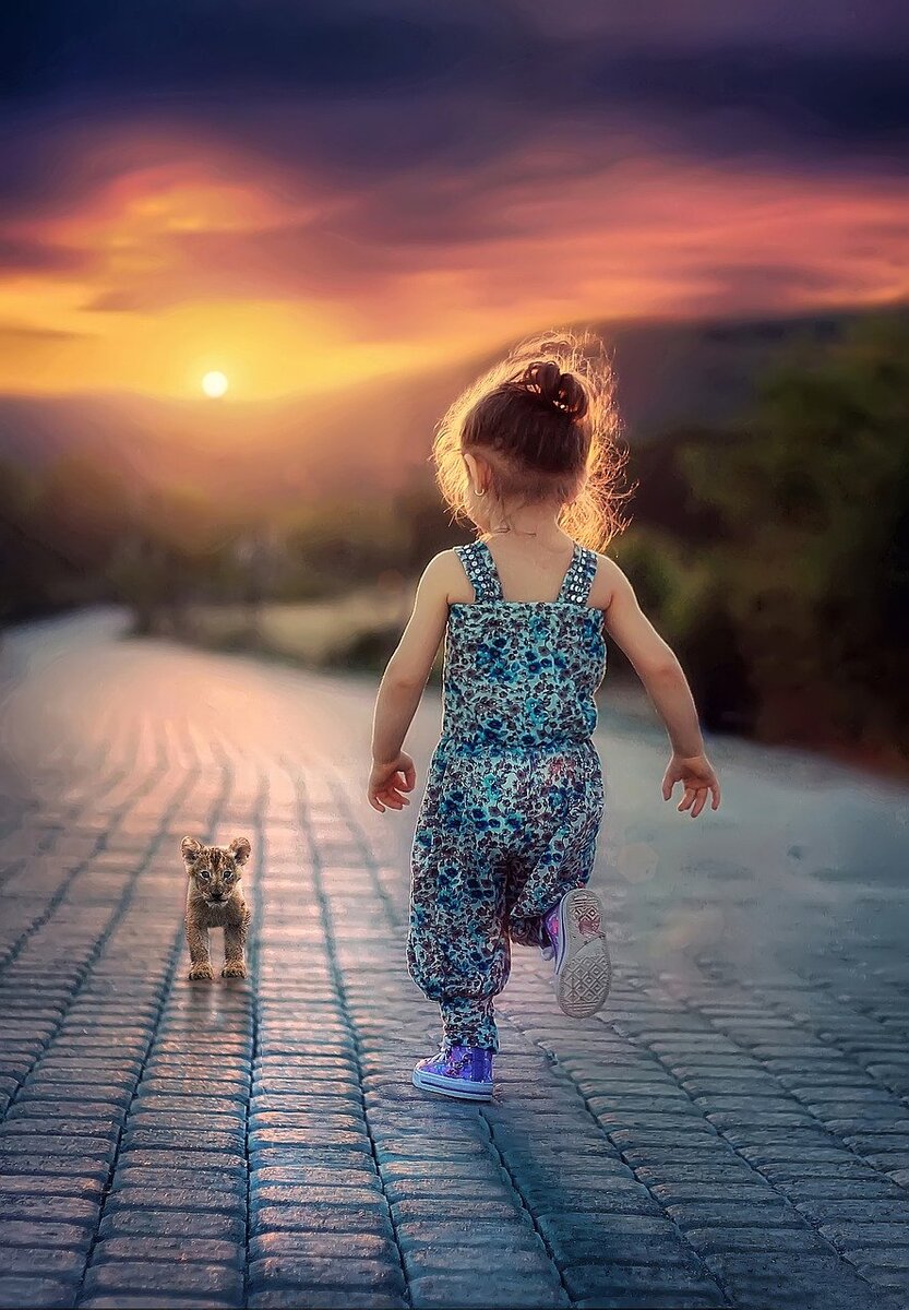 Image: Pixabay