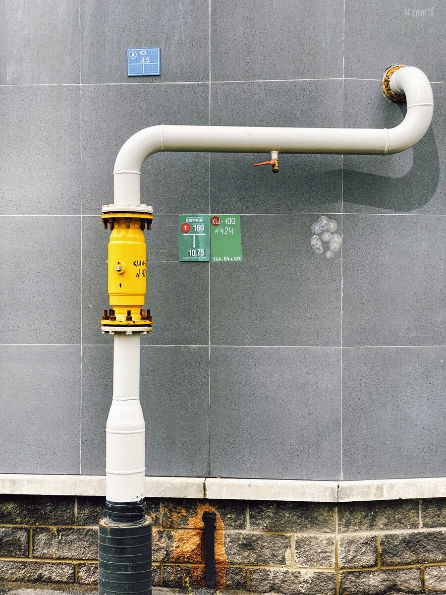 © Александр Максимов 