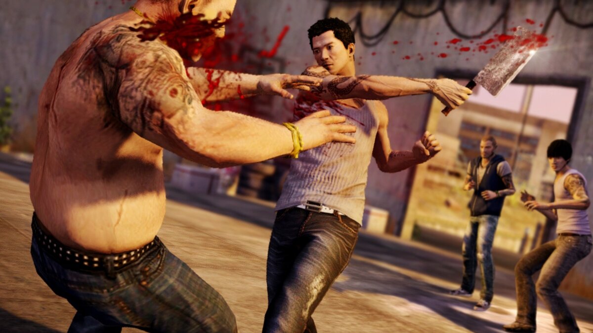 Sleeping Dogs. 