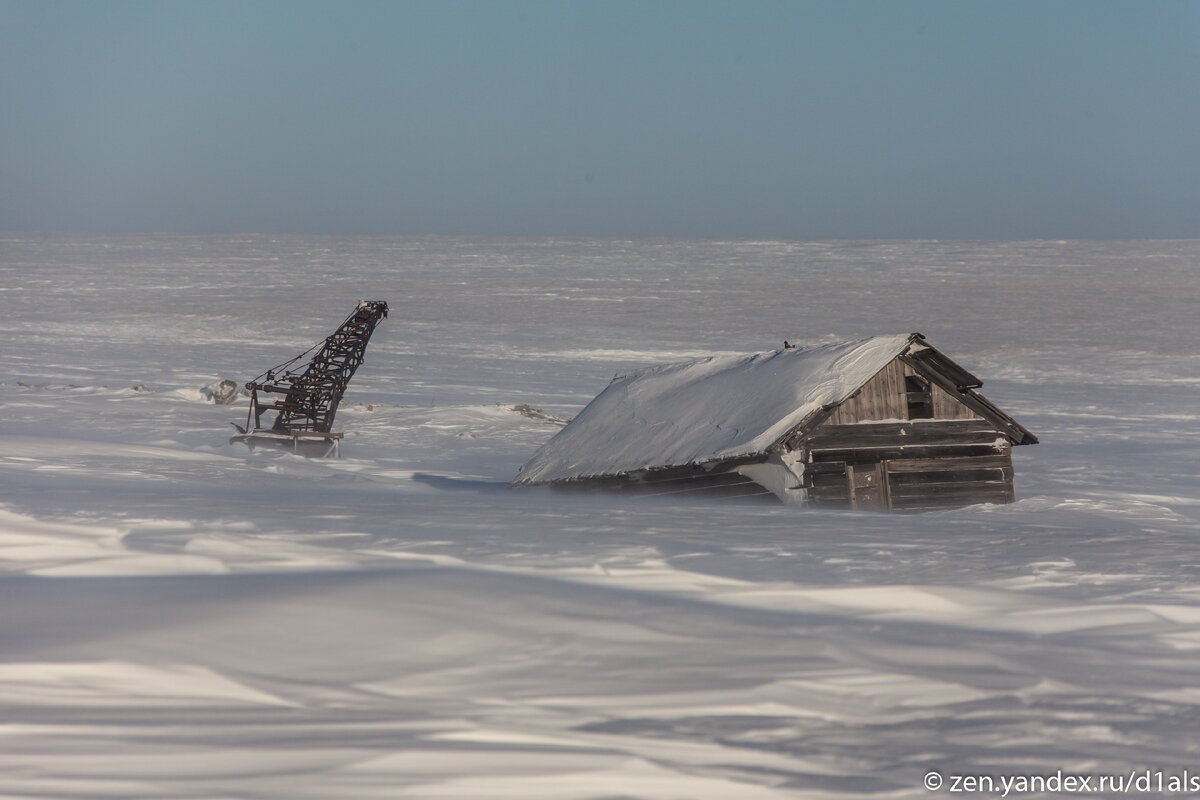 В замерзшей тундре на берегу моря наткнулись на заброшенный дом с трактором, пилорамой и краном. Читатель узнал это…