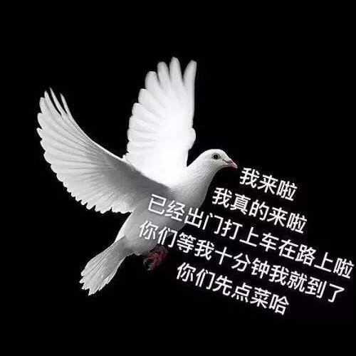 - 我来啦 wǒ lái la Я приду
- 我真的来啦 wǒ zhēn de lái la Я правда приду
 - 已经出门打上车在路上啦 yǐjīng chūmén dǎ shàng chē zài lù shàng la Уже вышел, вызвал такси, сел в такси, в пути
 - 你们等我十分钟我就到了 nǐmen děng wǒ shí fēnzhōng wǒ jiù dào le Подождите 10 минут, и я буду
 - 你们先点菜哈 nǐmen xiān diǎn cài hā Вы пока закажите поесть