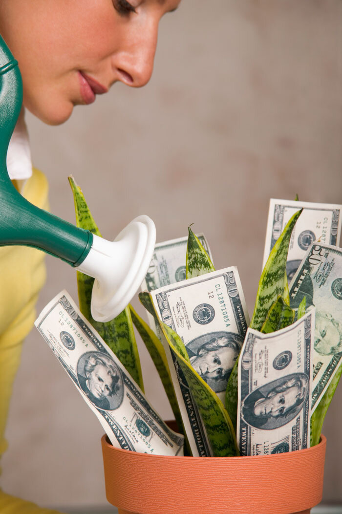 Фото с сервиса Яндекс картинки 