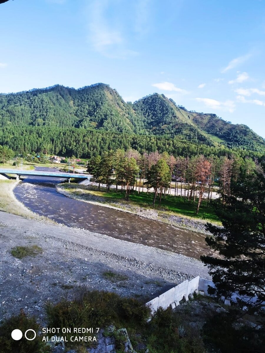 сибирский пейзаж Алтай река Чемал