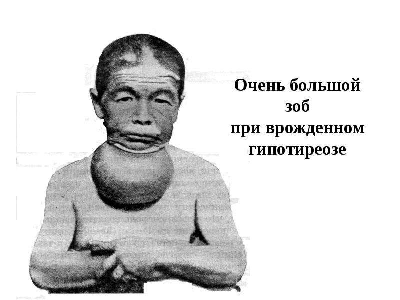 Источник фото: https://yandex.ru/imagesсточник фото: https://yandex.ru/images