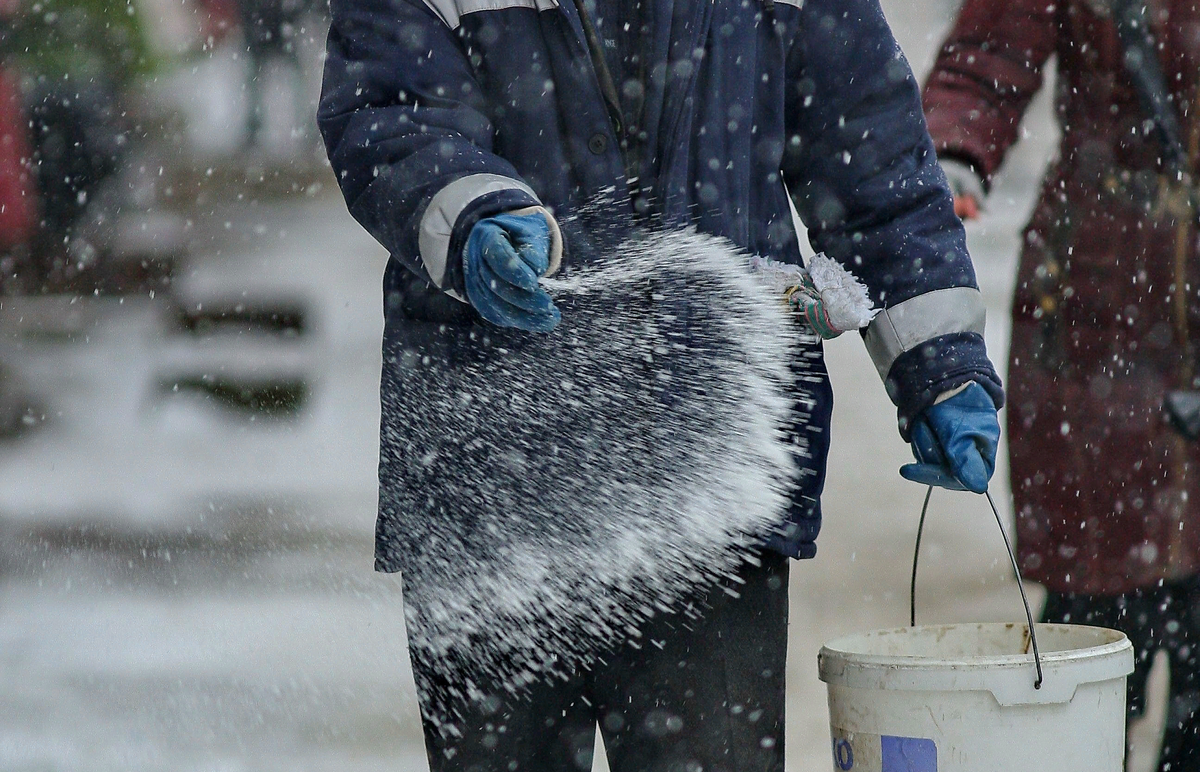 Цветы и Огород