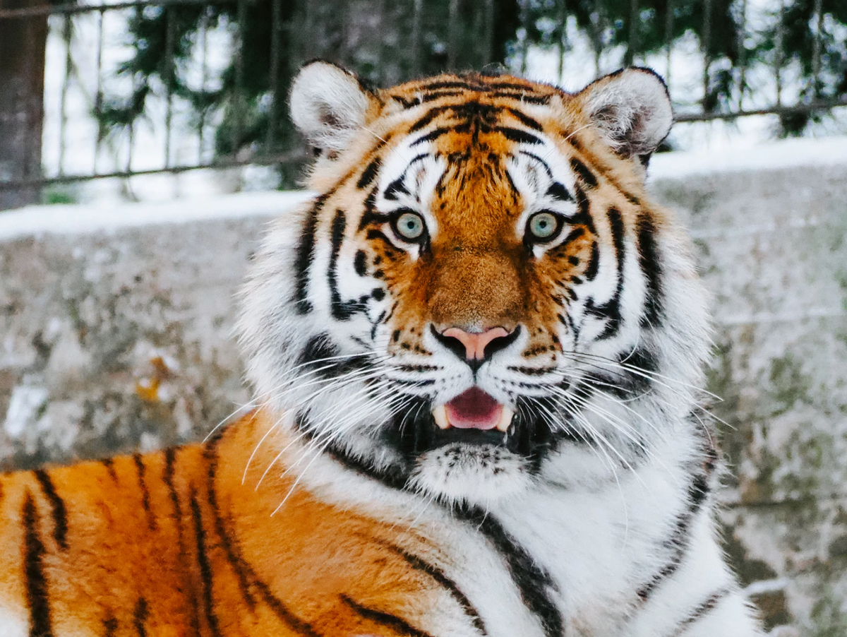 Фото Max van den Oetelaar