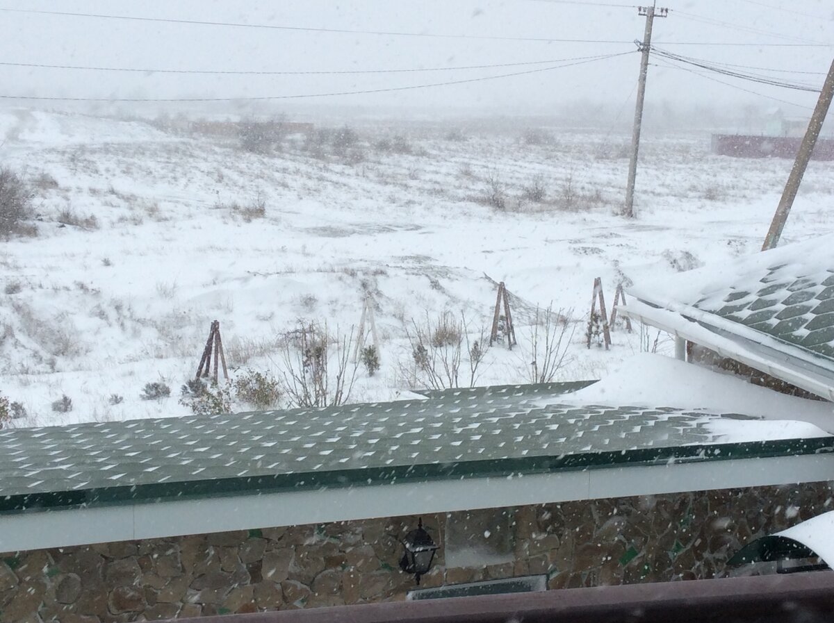 Степь побелела, падающий снег размыл контуры холмов. Видна с балкона только крыша гаража, да защитные « пирамидки» над маленькими сосенками, высаженными нами вдоль обводной канавы.