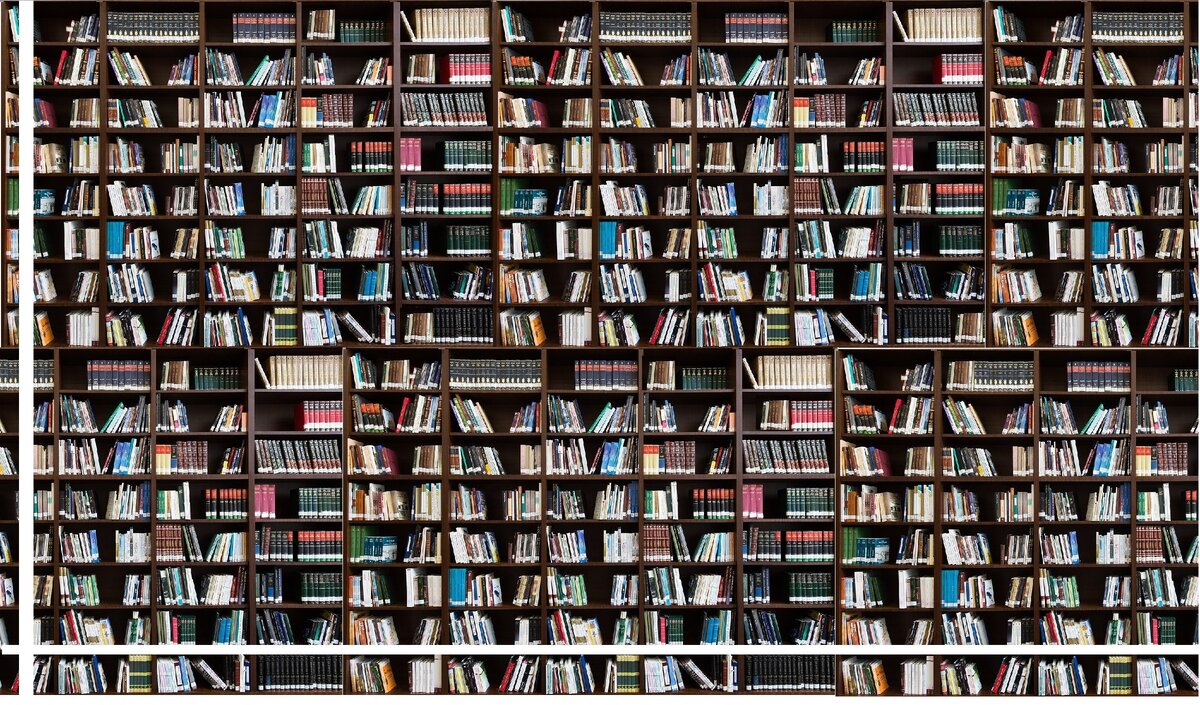 Полки книг. Много книг! Там и моря есть.))                                                                                                                 Источник -изображение Ahmad Ardity с сайта Pixabay  
