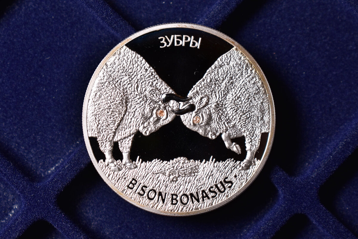 20 рублей 2012 года "Зубры" (Беларусь)