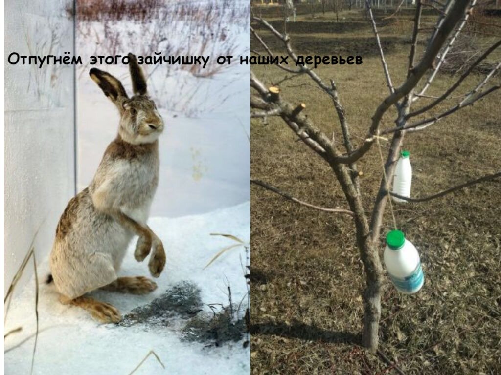 Методы предупреждения