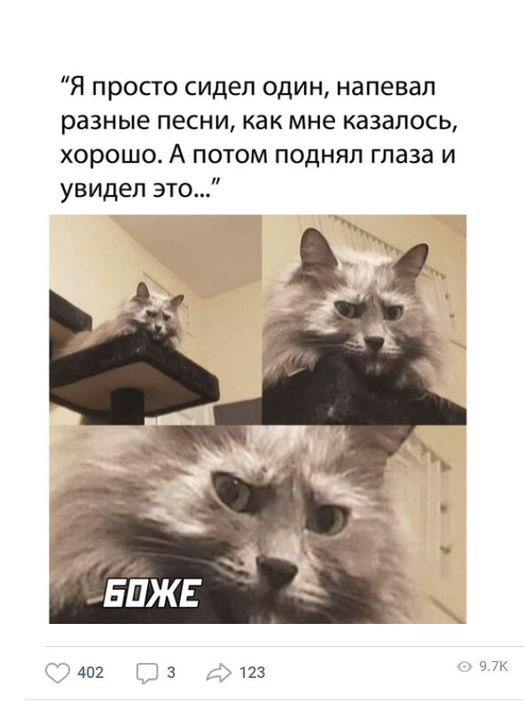 Кот ну не осуждай так, как умел так и спел.