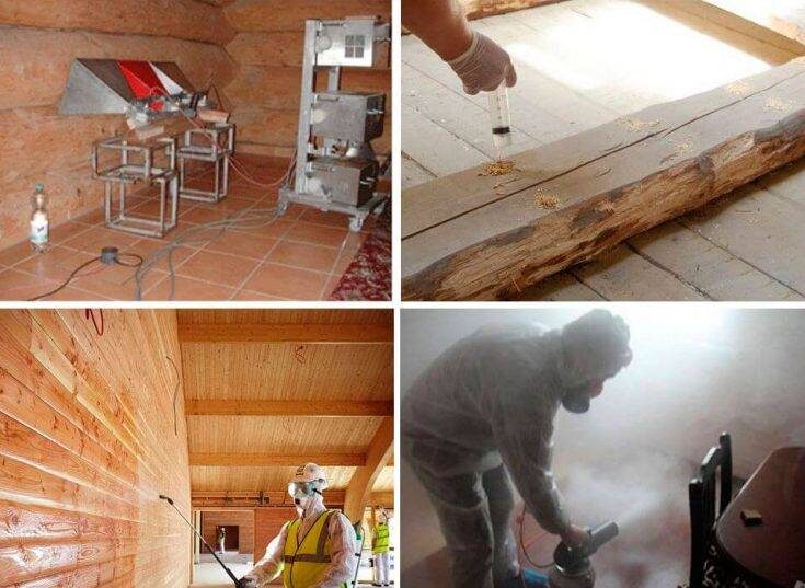 Только 100% эффективные методы борьбы с жуками-древоточцами