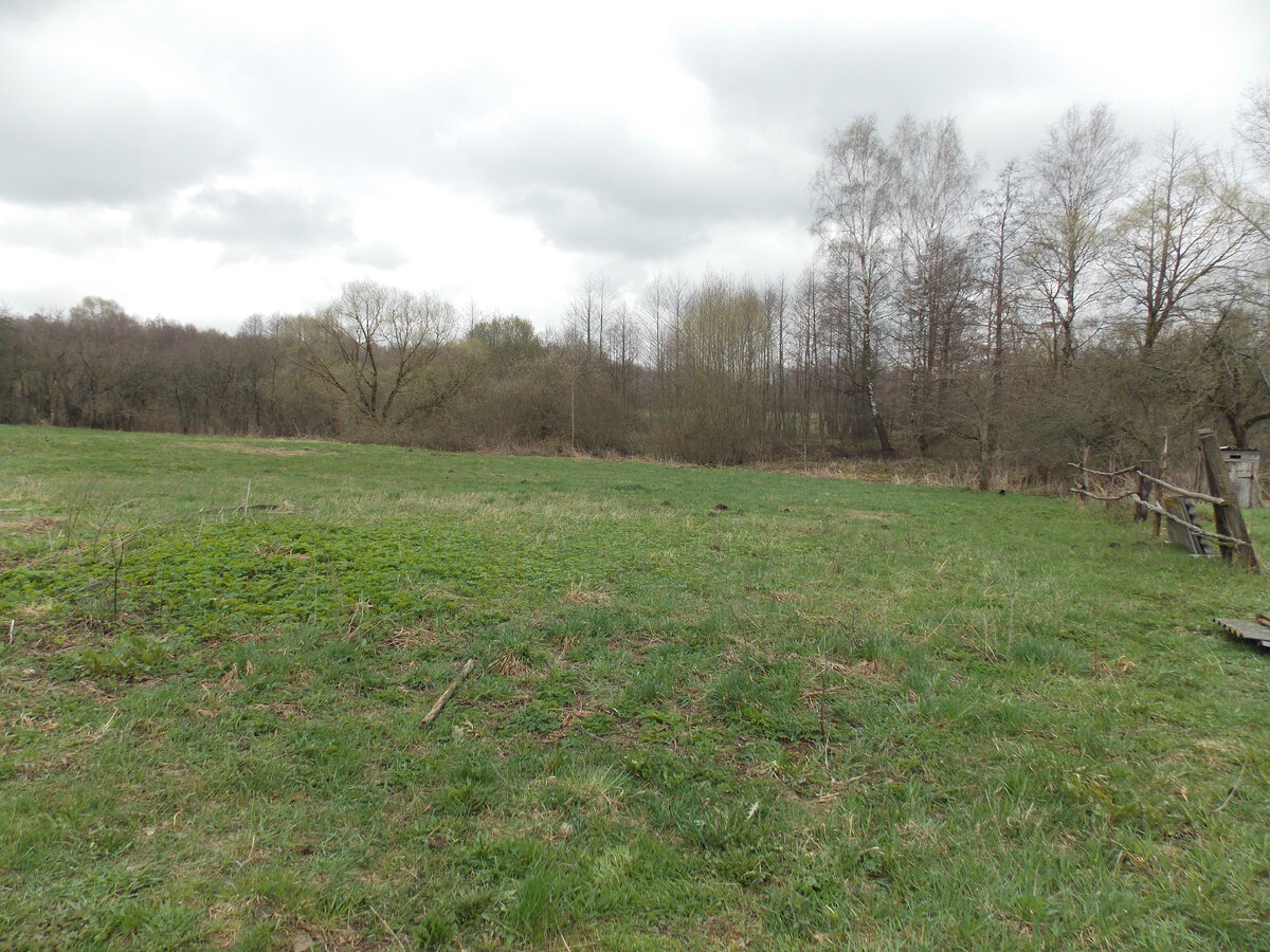 теперь это моя травка)))