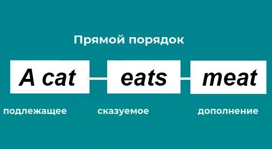 Перевод: кот ест мясо