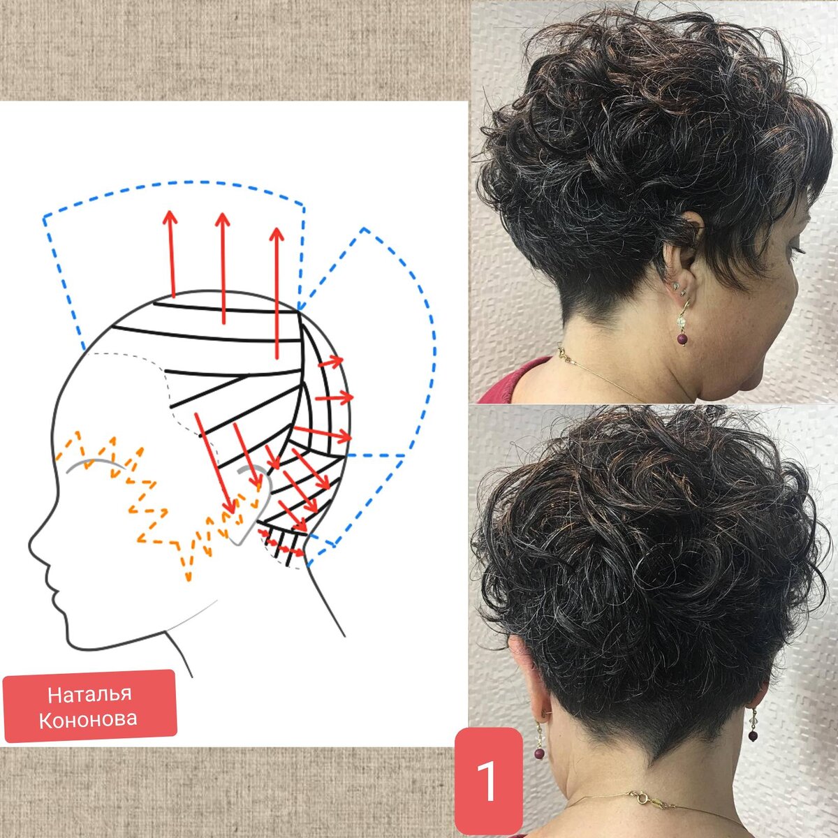 Схема модельной стрижки. Схема короткой стрижки для женщин. Модные стрижки 2024 женские схемы. Схема короткой стрижки для бабушки.