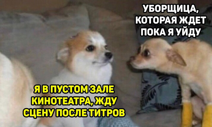 Все изображения были взяты из открытых источников