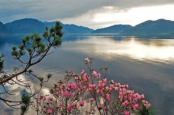 Фото взято из интернета из свободного доступа