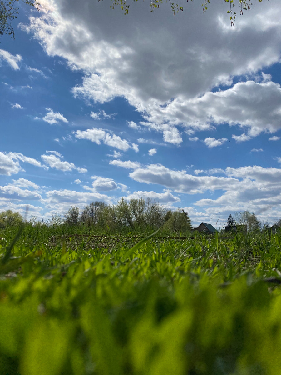 Одна из крайних велопрогулок