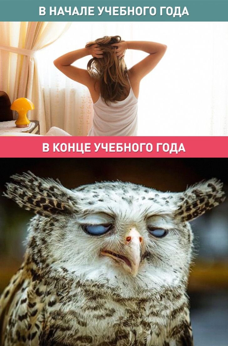 Картинки про конец учебного года прикольные