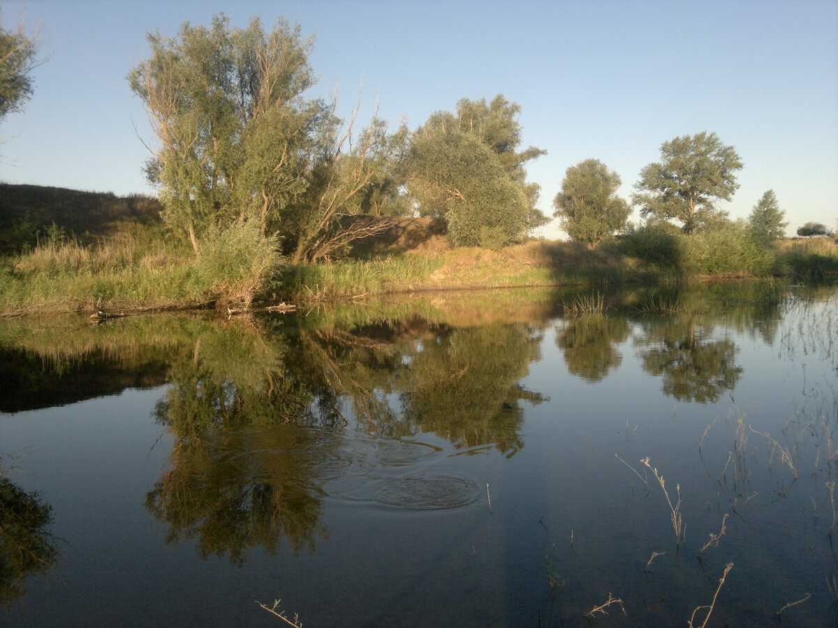 Типы водоемов