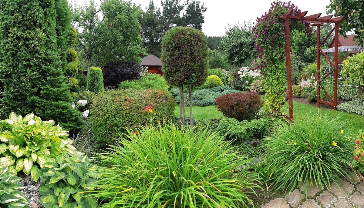 Сад Тамары Шпилиной