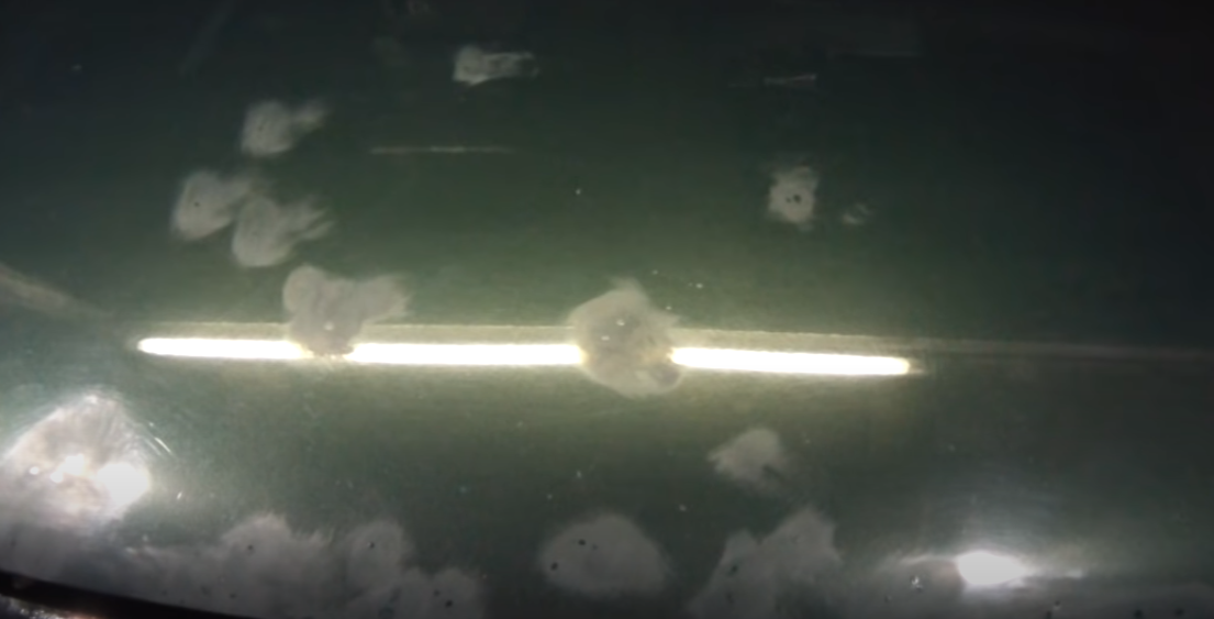 Самостоятельно убрал множественные сколы на капоте, получилось так ...