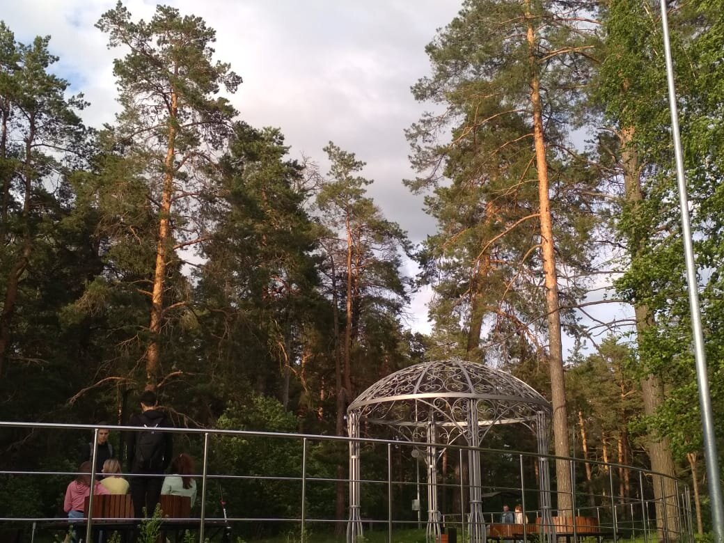 Парк в соснах, там даже беличий домик есть