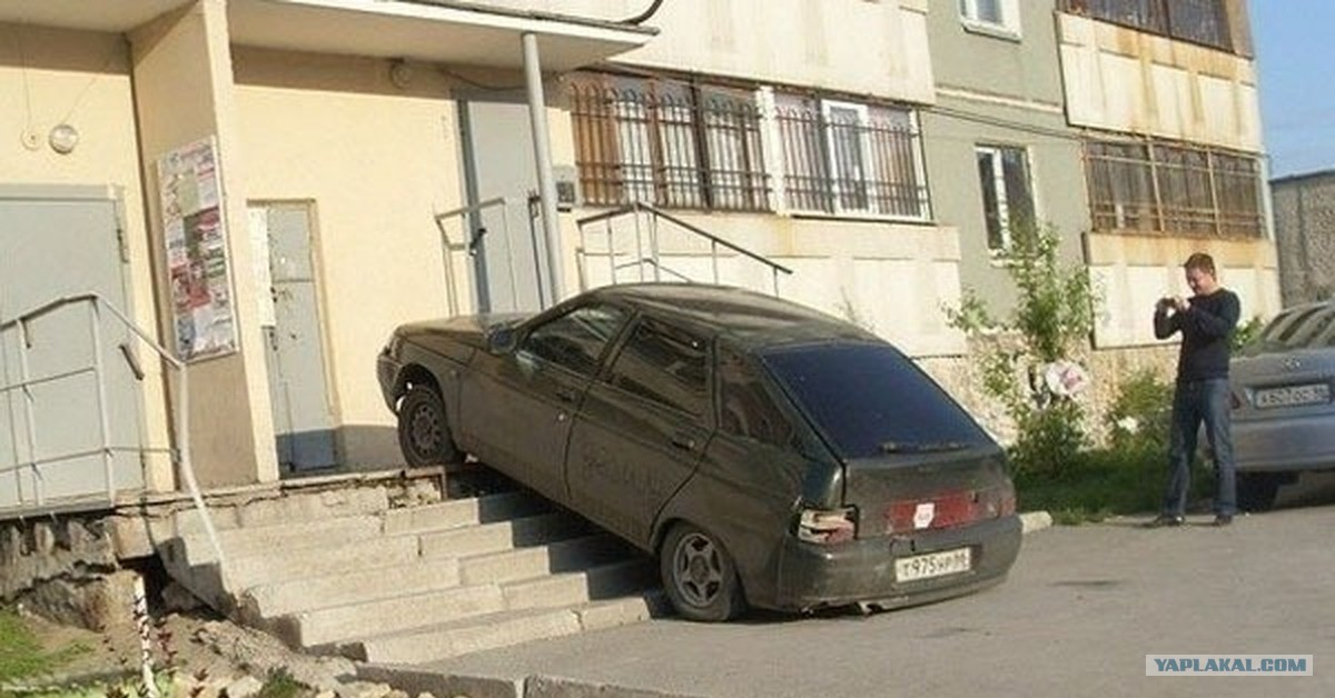 Фото из интернета