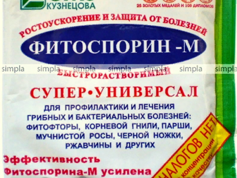 Фитоспорином опрыскивать деревья можно