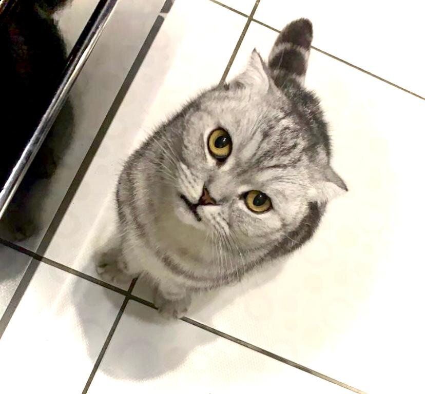 Моя сестренка договаривается с мамой о добавке 