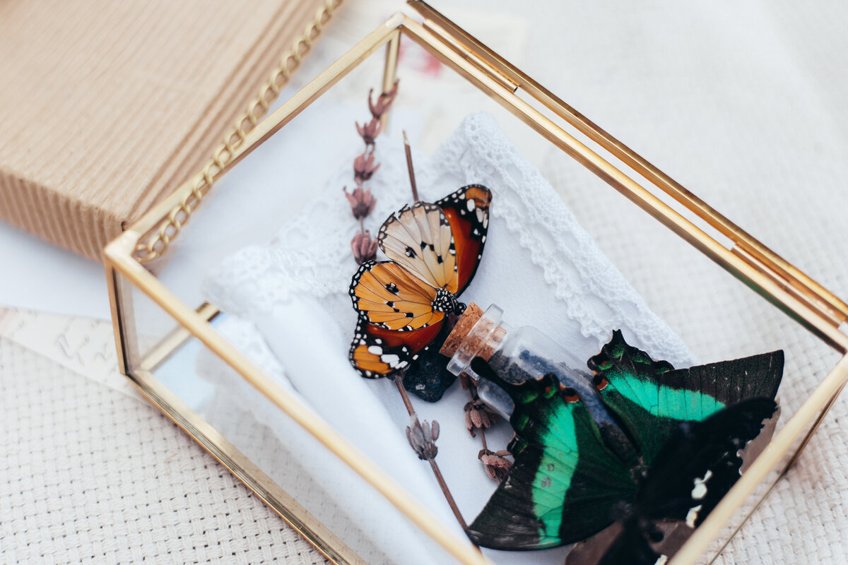 Фото автора Ron Lach: Pexels